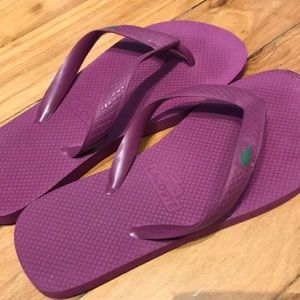 Lacoste rubber flip flops